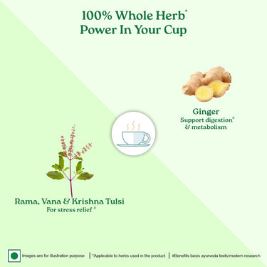 A TATA Product - Organic India Tulsi Ginger - 25 Tea Bags, Rich in Antioxidants, Supports Digestion, Stress Relieving, Helps Boost Metabolism, Caffeine-Free, Whole Herbs Certified Organic